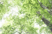 tkf003_152056