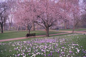 tkf003_152644