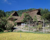 tkf003_156560