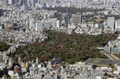 tkf003_157870