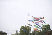 tkf003_158308