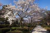tkf003_158878