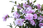 tkf003_159886