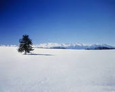 tkf003_160143