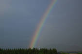 tkf003_164269
