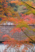 tkf003_164688