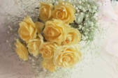 tkf003_165200