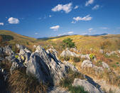 tkf003_166870