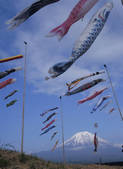 tkf003_168901