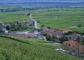 tkf003_170485