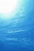 tkf003_172996