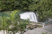 tkf003_176651