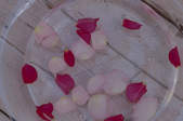 tkf003_262037