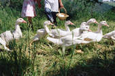 tkf003_304460