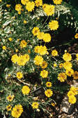 tkf003_308804