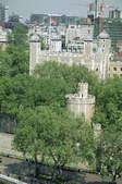 tkf003_339983