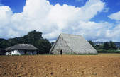 tkf003_341345