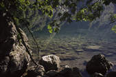 tkf003_349146