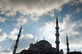 tkf003_356708
