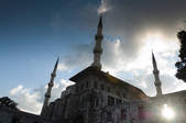 tkf003_356709