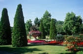 tkf003_360835