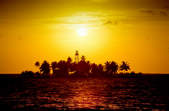 tkf003_375459