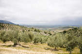 tkf003_378125