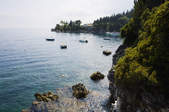 tkf003_393332