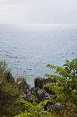 tkf003_393334