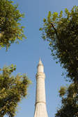 tkf003_393338