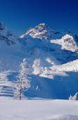 tkf003_396546