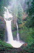 tkf003_396609