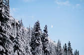 tkf003_397596