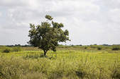 tkf003_400202