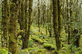 tkf003_409957