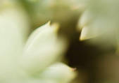 tkf003_434045