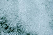 tkf003_439606