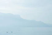 tkf003_440934
