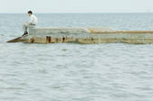 tkf003_447254