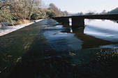 tkf003_447454