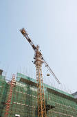 tkf003_448148