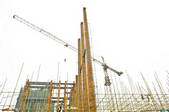 tkf003_448255