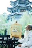 tkf003_449667