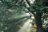 tkf003_456003