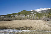 tkf003_464390