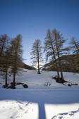 tkf003_464513