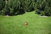 tkf003_472299