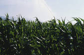 tkf003_476459