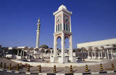 tkf003_520375