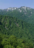 tkf003_524940